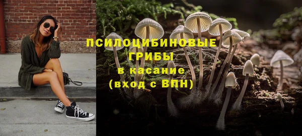 твердый Кущёвская
