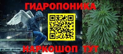 PSILOCYBIN Новокубанск
