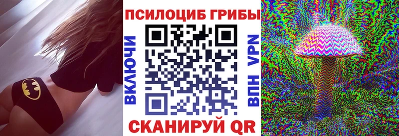 купить закладку  Северодвинск  дарк нет формула  Псилоцибиновые грибы Psilocybe 