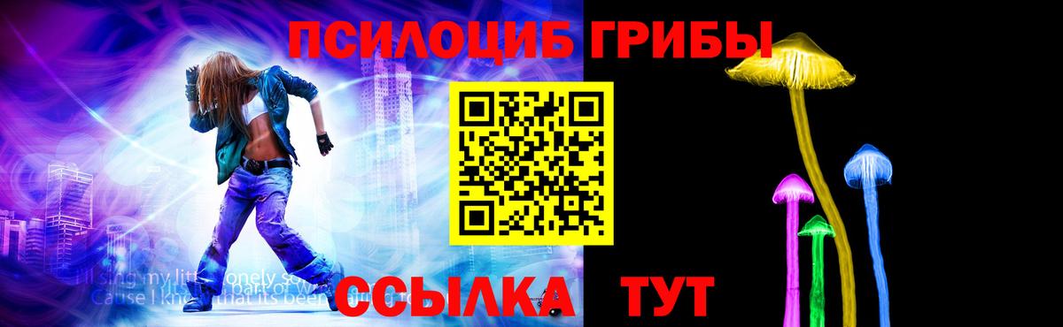 Псилоцибиновые грибы Psilocybine cubensis Северодвинск